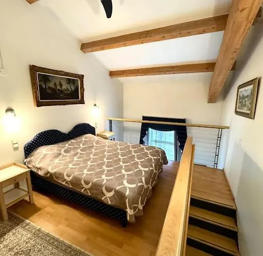 Loft Old Town 公寓 塔林